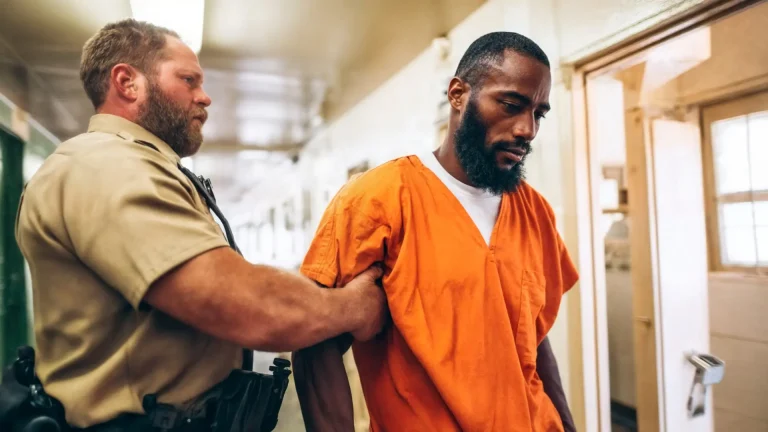 What Happens After an Arrest in Dallas County_ A Step-by-Step Timeline Image raw